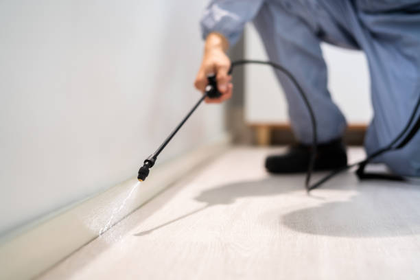 Licensed Emergency Pest Control service in Haines Borough County, AK - Nex Pest Control